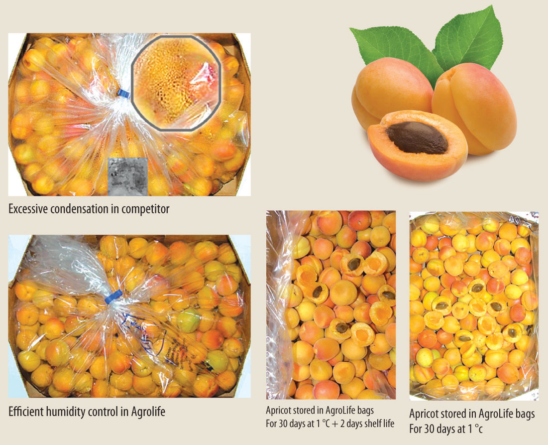 apricot STORAGE